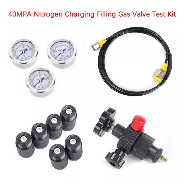 Hydraulic Accumulator Nitrogen Charging Gas Valve Fill Pressure Test 2M Hose Kit
