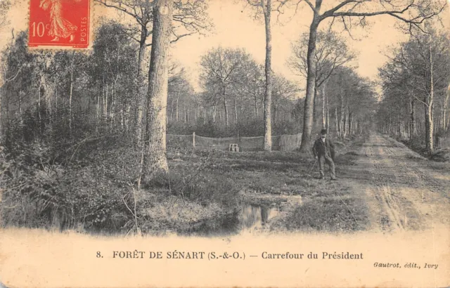 91-Foret De Senart-Carrefour Du President-N�6031-E/0349