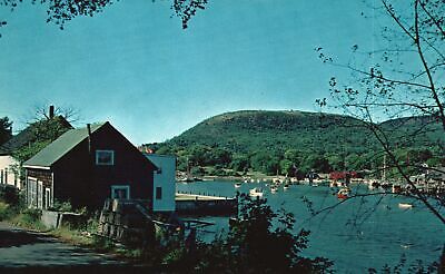 Postcard Artistic View Windjammers Boats Anchored at Camden Harbors Maine Coasts