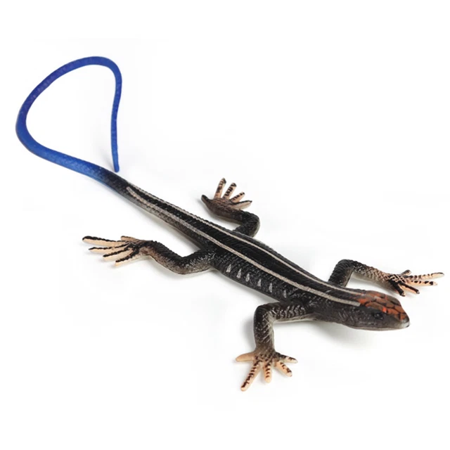 Lizards Toy Waterproof Educational Fake Plastic Lizard Toy Lovely