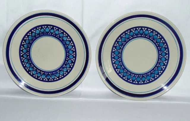 Set of 2 Taylor Smith & Taylor ironstone Nordic Blue Dinner Plates USA
