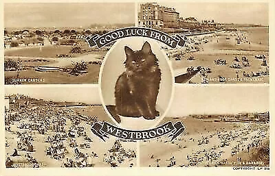 Vintage Kent Multi View Postcard, Good Luck from Westbrook, Black Cat HJ6