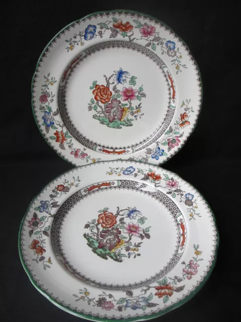 Copeland Spode ,Chinese Rose,629599, Two Dinner Plates 10.5 inch , VGC,  c1950s