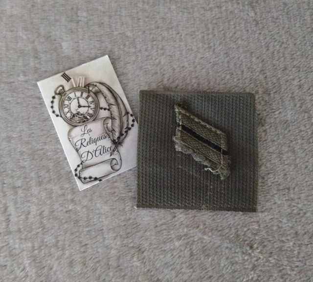 COMMANDEMENT DE LA FORCE D'ACTION TERRESTRE LE GENERAL - Insignes militaires collections