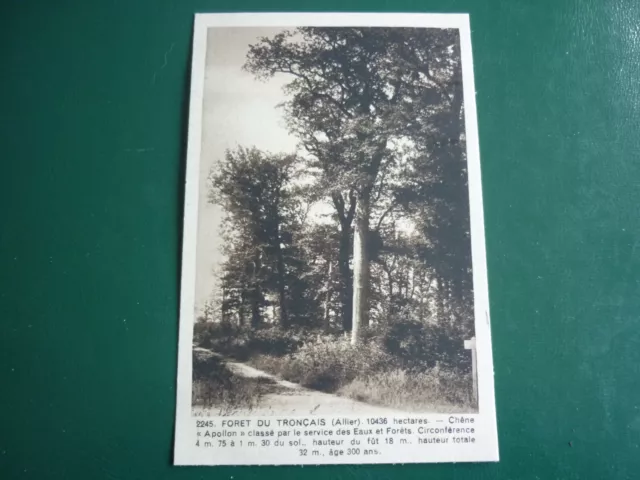 Cpa 03 /  Foret De Troncais  " Chene Appolon "