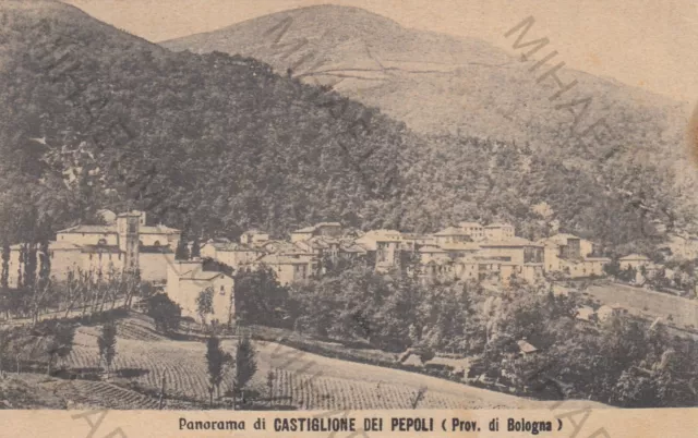 Cartolina Castiglione Dei Pepoli Bologna Emilia Romagna Panorama Viaggiata 1910