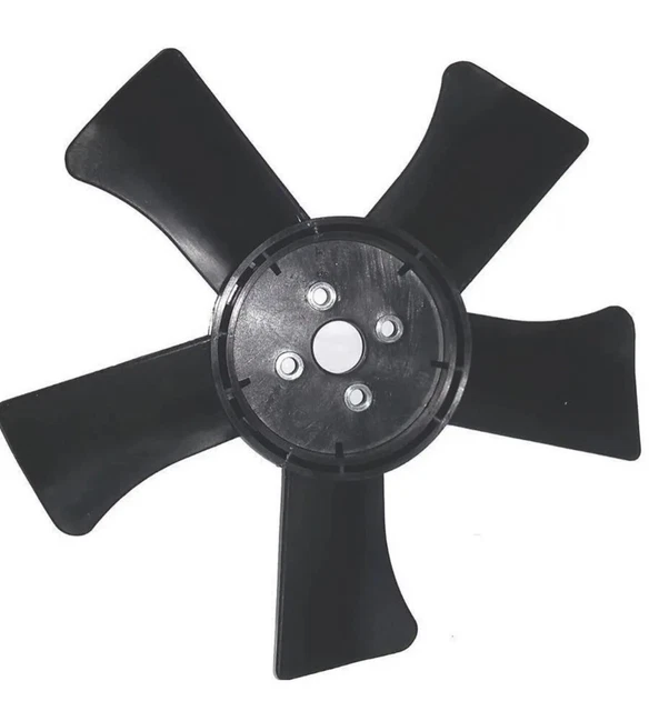 Shankh Soffiante Per Pooja - Conchiglia Naturale Con Suono Eco Per Spiritualità - Foto 6