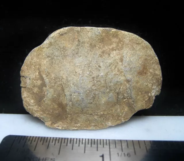 Antietam Civil War Relic Dug Along Smoketown Road Hammered Flat Bullet Enfield