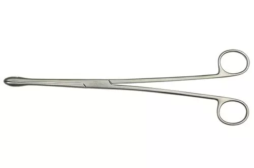 Ovum Forceps (Chirurgical / Médical Instrument-Set De Quatre Pièces Fait En