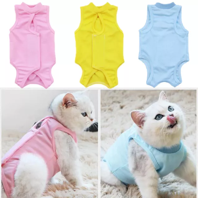 Gilet De Réadaptation En Coton Pour Chat Protection Contre La Récupération R