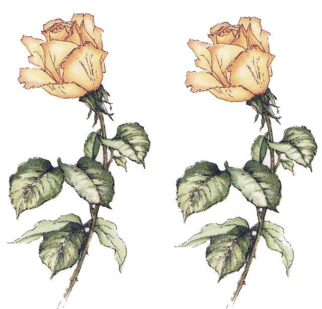 Calcomanías de cerámica para tobogán acuático amarillo de tallo largo rosa seleccionada talla A buey