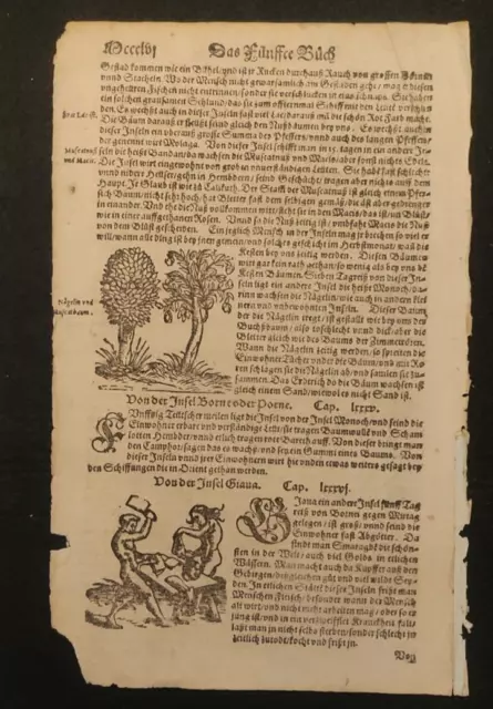 Xilografia Miniata Sebastian Munster Cannibalismo Macello Carne Umana