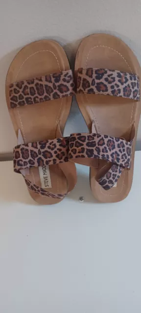 Womens Steve Madden Raffy Sandal Size 6 M Leopard Print Flats