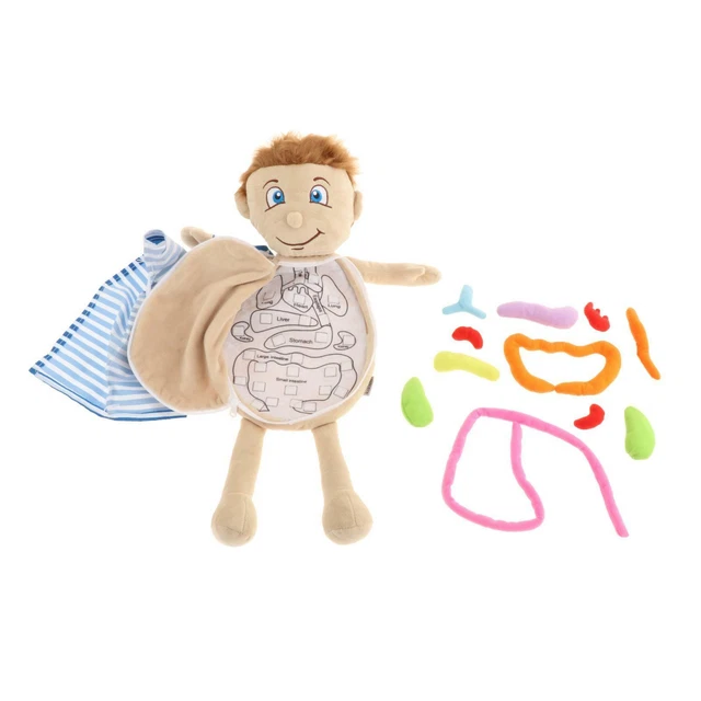 Poupée Anatomie Humaine Jouet Éducatif Vintage, Années 1980