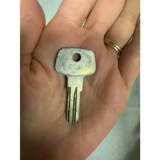 Thule D1251 Key Universal Change Key for Removing & Refitting Thule Lock Cores
