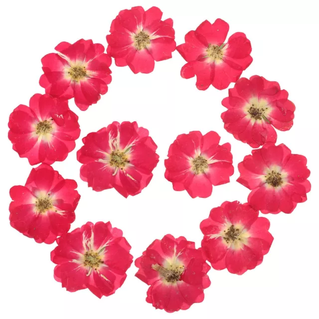 12 Pcs Rouge Fleur Forfait Floral Scrapbooking Séchée Trousse De Résine