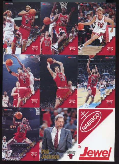 RARE JEWEL NABISCO 96-97 Hoops Michael Jordan Perforated Bulls Sheet ...