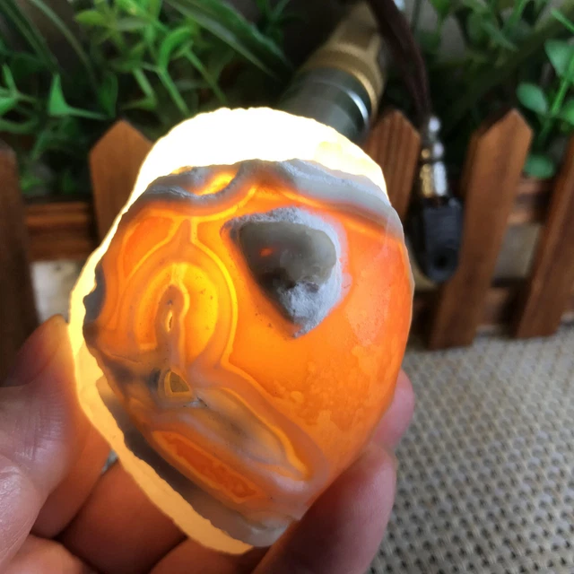 158g Bonsai Suiseki-Natural Gobi Agate Eyes Stone-Stunning Viewing mt1208