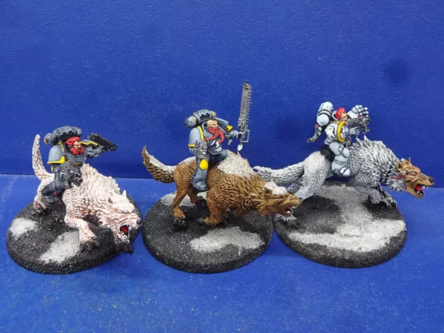 3 Thunderwolf Cavalry der Space Wolves GUT BEMALT