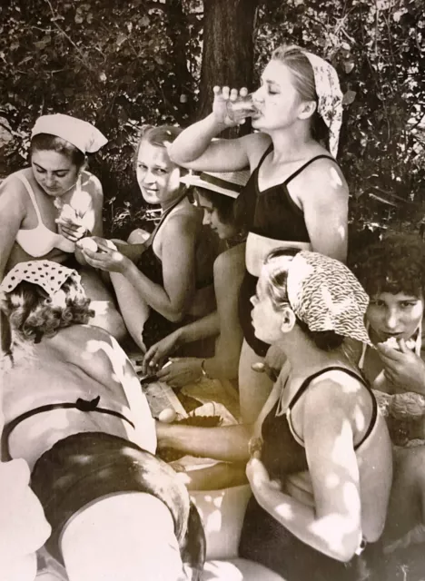 1950s Company Pretty Attractive Young Women Beach Bikini Picnic Snapshot Photo
