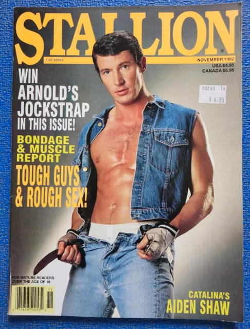 Playgirl Like Art Photography GAY INTEREST MEN STALLION AIDEN SHAW 1992