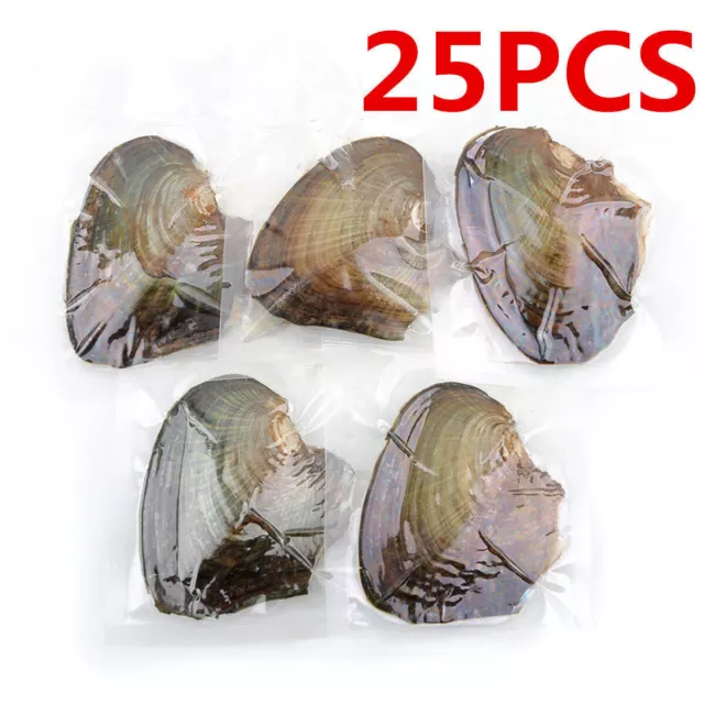 25pcs Individually Wrapped Oysters whith Natural Pearl Holiday Gift