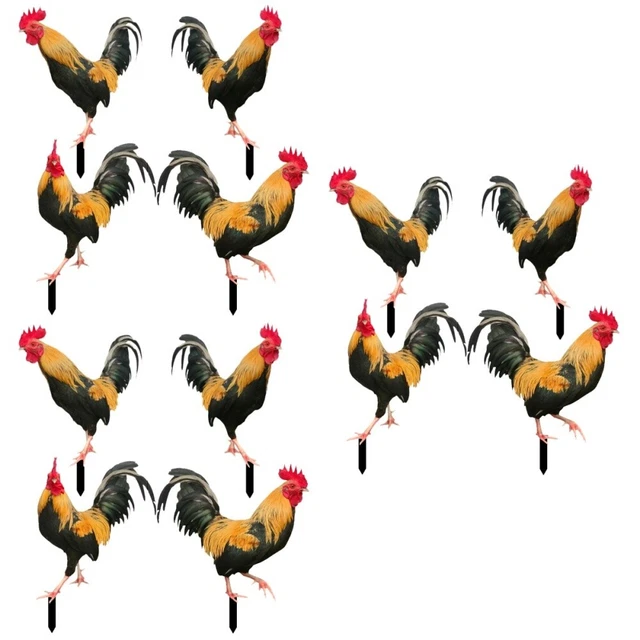 12 pièces jardin décoratif art de cour de poulet pour pelouse jardin décor cour