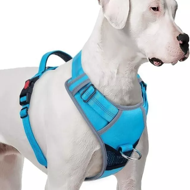 ThinkPet No-Pull Harness Padded Breathable Reflective Adjustable XL Dog Sky Blue