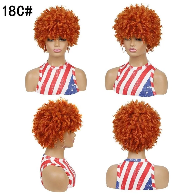 Afro Wig Fancy Dress Party Curly Synthetic Full Wig Funky Disco Men's Hair*