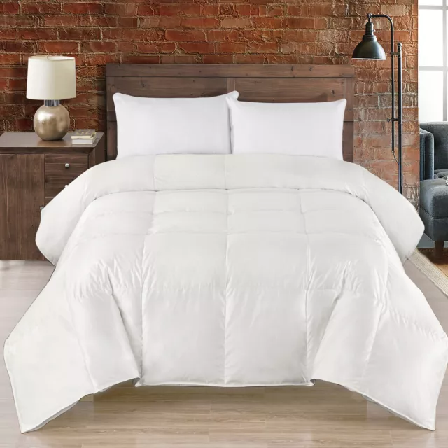 White Silk Goose Down Comforter Heavy Winter Fill High-Extra Warmth 700 FP