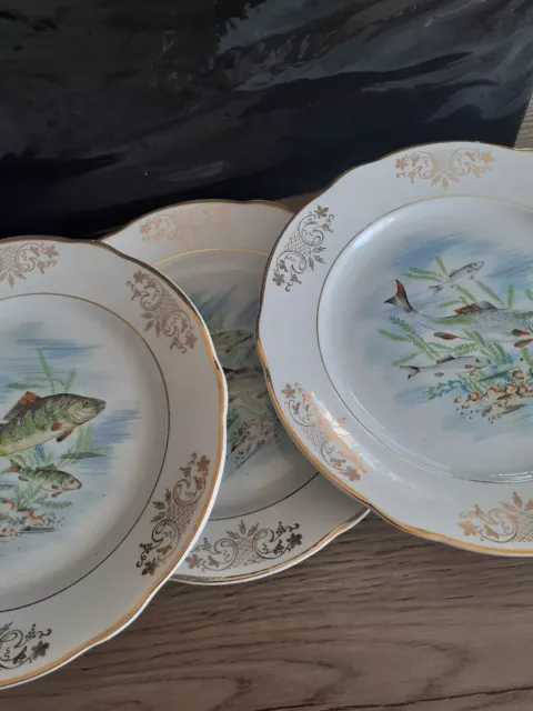 Service KG Lunéville 6 assiettes à décor poisson 23 Cm 2