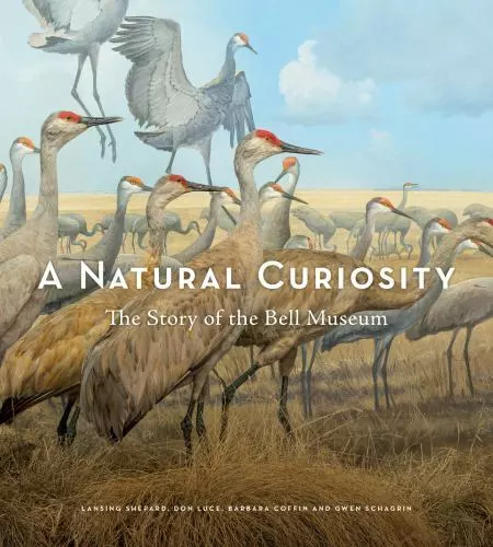 A Natural Curiosity: The Story of the Bell Museum , Coffin, Barbara