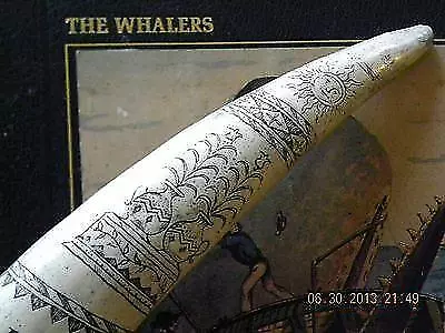 Scrimshaw REPRODUCTION Walrus Tusk the whaler "IONIA" 18 inches long