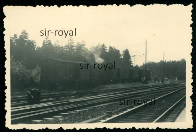 Bahnhof Rennsteig 1954 - Güterwagen Gleise Eisenbahn - 1950er - Foto 9x6cm