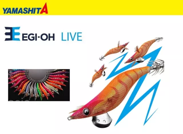 Turlutte Yamashita EGI-OH Live  3.5 2