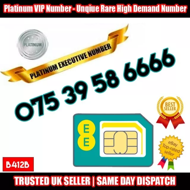 Numero PLATINO - 075 39 58 6666 - VIP RARA SIM UK - B412B