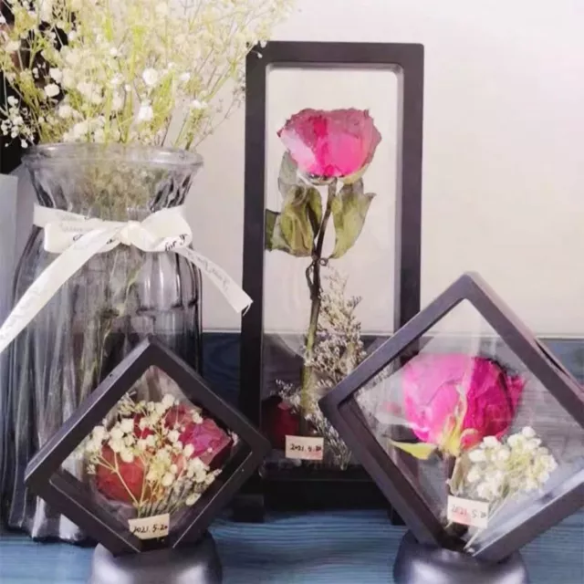 3D Transparent Dried Flower Frame Storage Box  Specimen Display