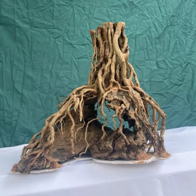 Aquarium Driftwood Bonsai Tree Aquascape Freshwater Reptiles Habitat Fish Tank