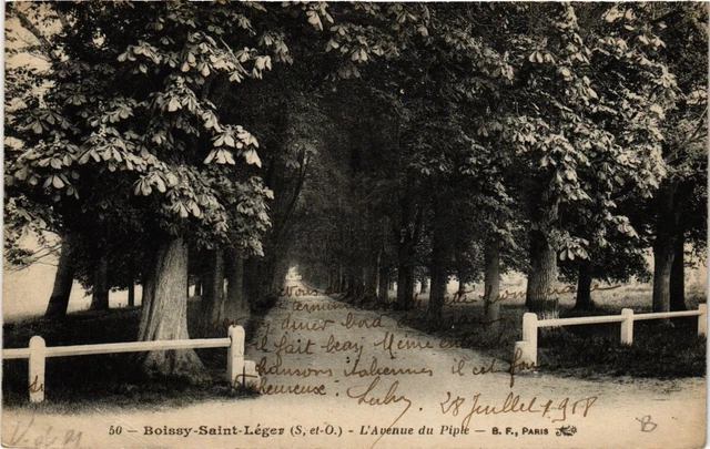 CPA BOISSY-St-LIGHT - L'Avenue du Piple (659709)
