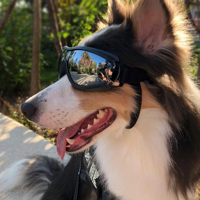 Anti-UV Sunglasses Pet Dog Sunscreen Pet Waterproof Supplies Sunglasses M0W0