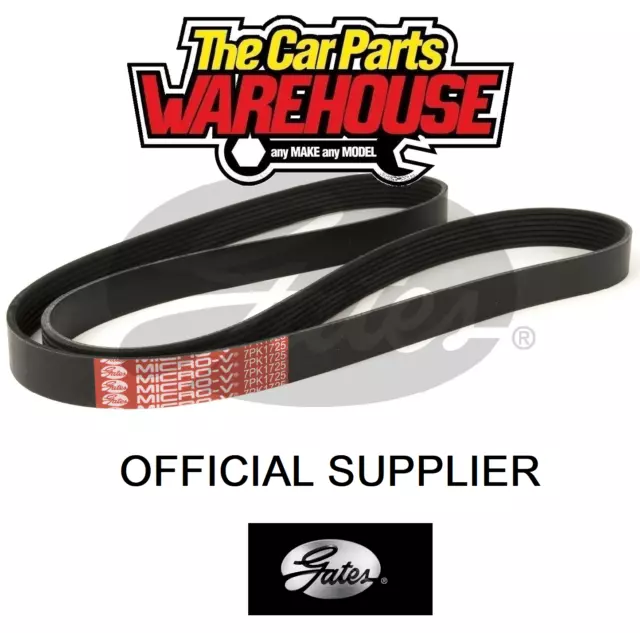 Genuine Gates Auxiliary Belt / Fan / Drive / Multi Rib 4PK823