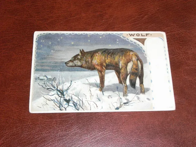 Original  Art Nouveau Postcard - Wolf - Hildesheimer.