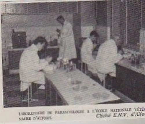 1969  --  Ecole Veterinaire D Alfort    Laboratoire De Parasitologie   3A628