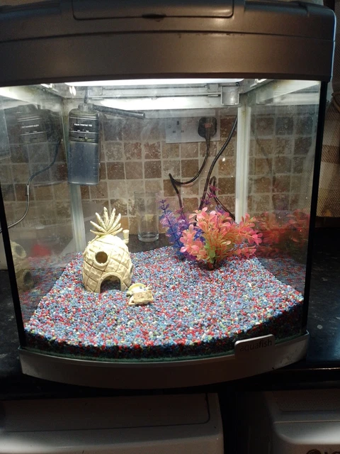 Fish Tank