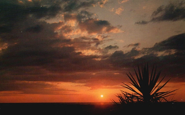 Postcard NC Ocracoke Island View Sunset Pamlico Sound Chrome Vintage PC G7248