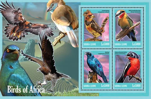 Sierra Leone- Birds of Africa Stamp - Sheet of 4 MNH