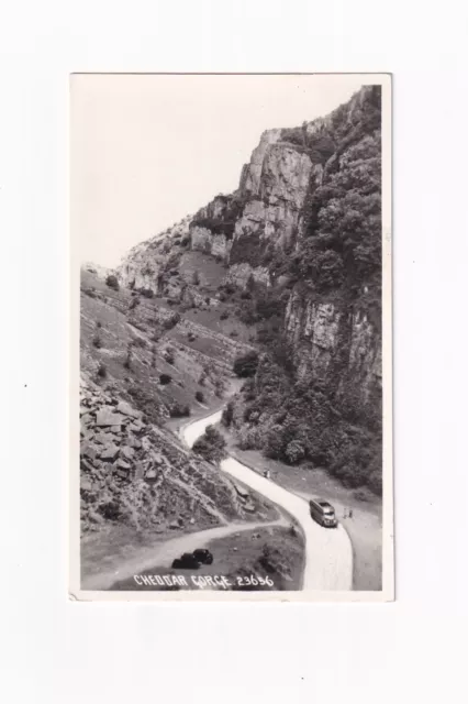 Real Photo Postcard Cheddar Gorge ( Somerset )
