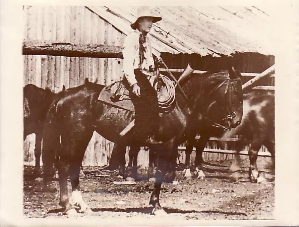 William M. Jardine Big Hole Basin Horse Secretary of agriculture old Photo 1920' 2