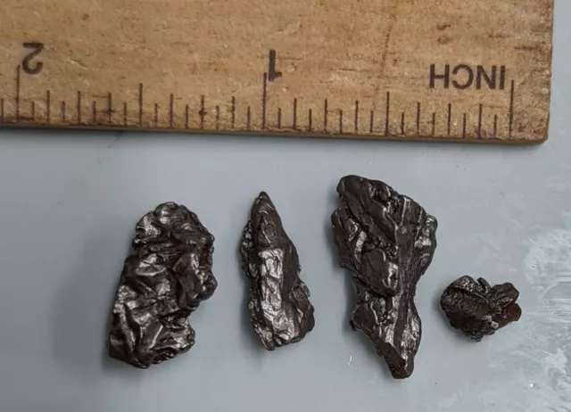 10 Grams CAMPO DEL CIELO Iron meteorite Lot from Argentina (#F3131)