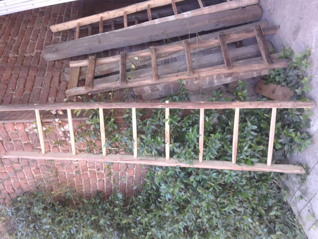 Scala In Legno A Pioli